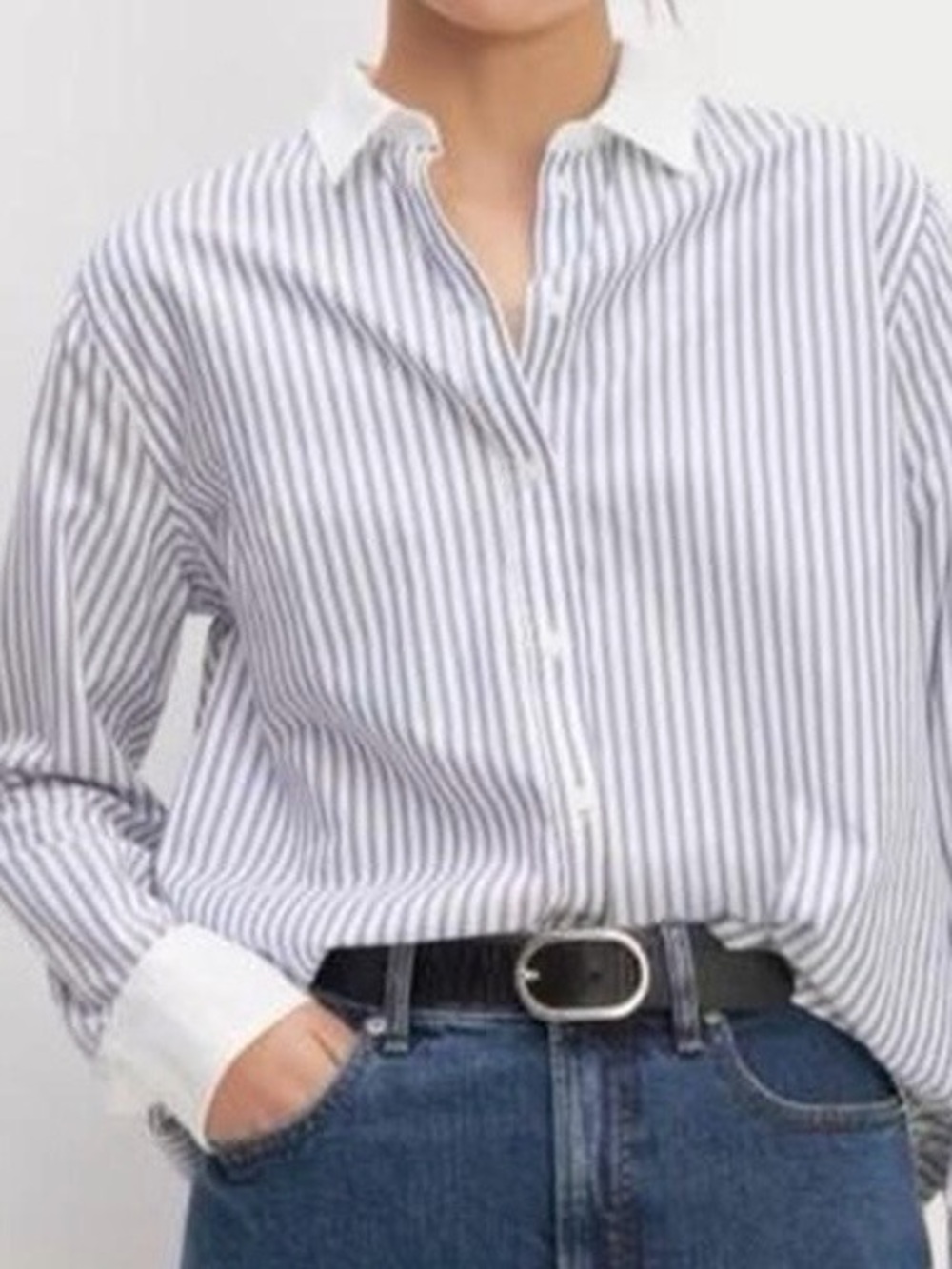 Everlane Navy White Striped Button-Down Shirt with Contrast Collar